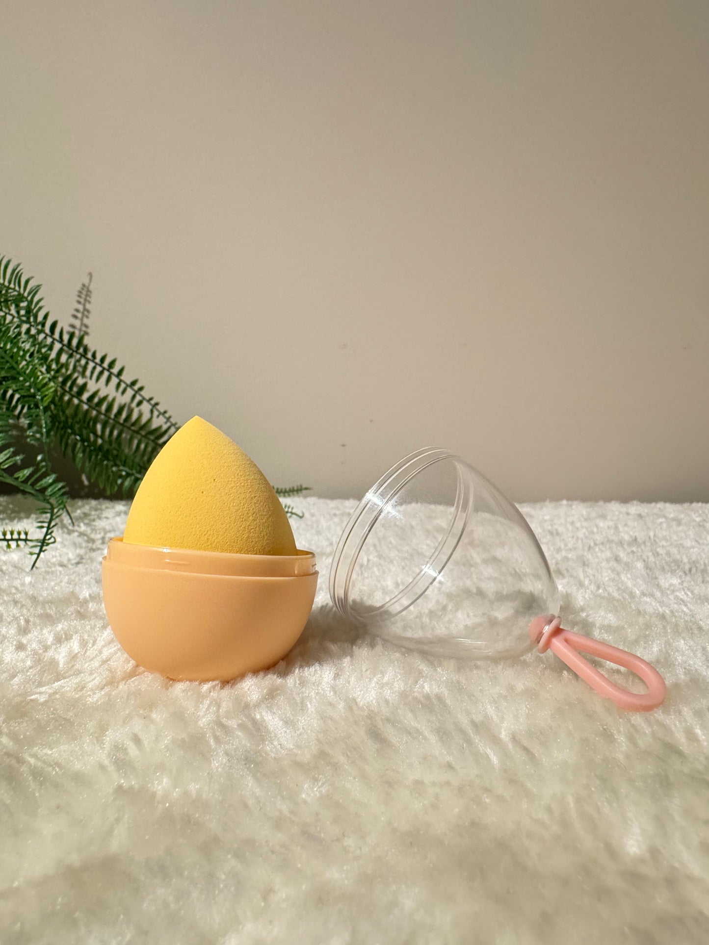 Makeup Sponge + Egg-Shaped Case