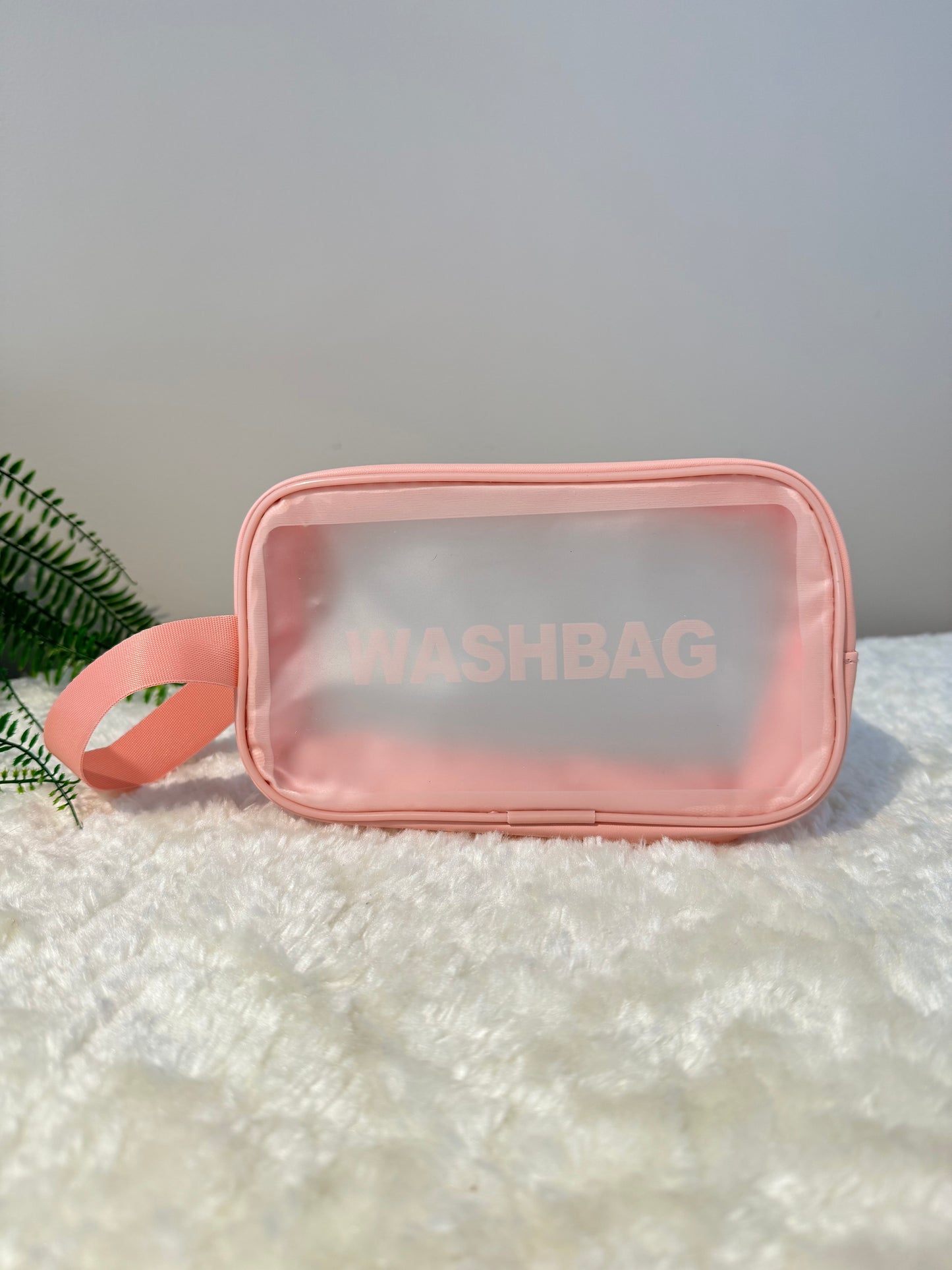 Transparent Frosted Wash Bag