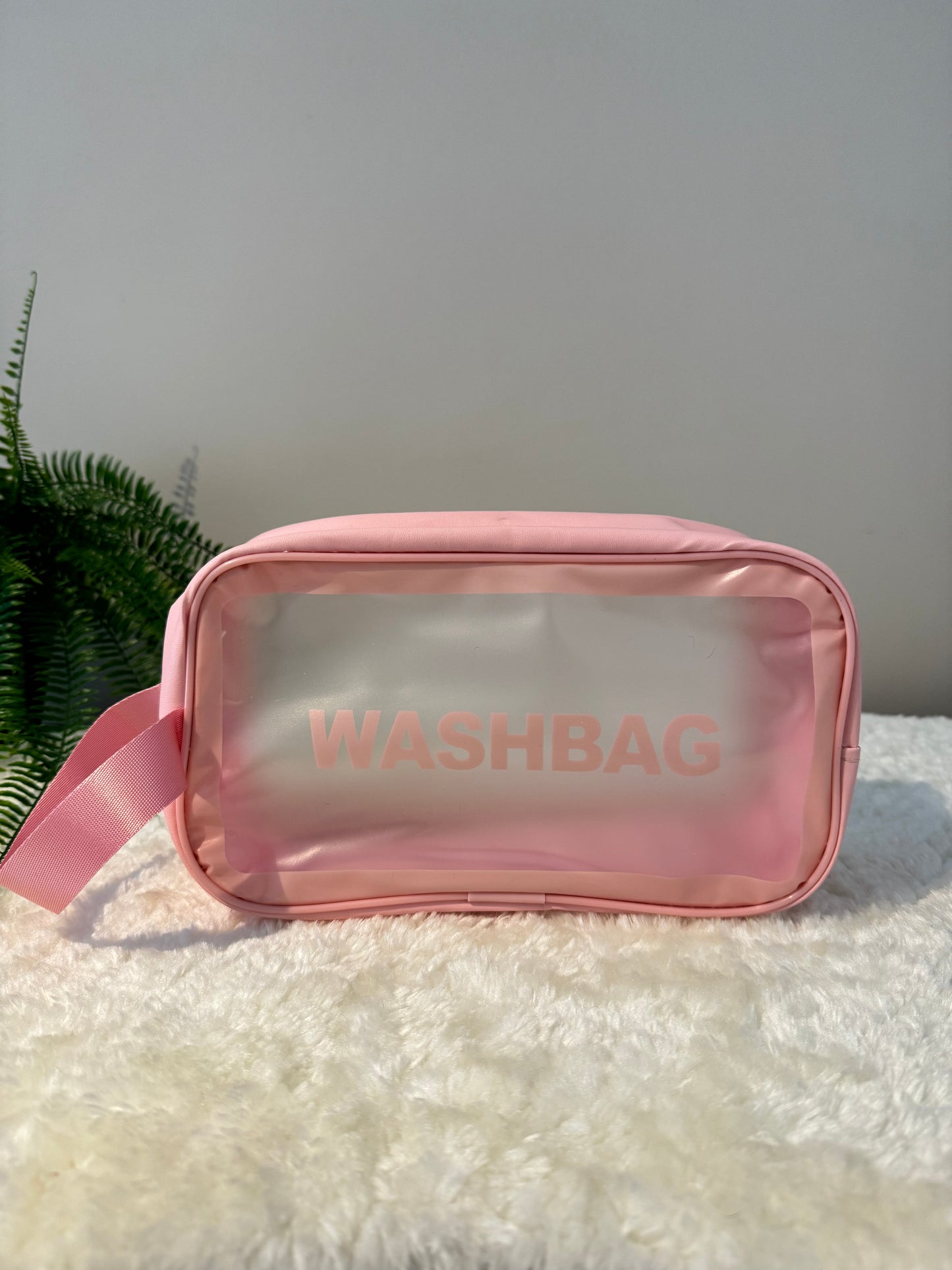 Transparent Frosted Wash Bag