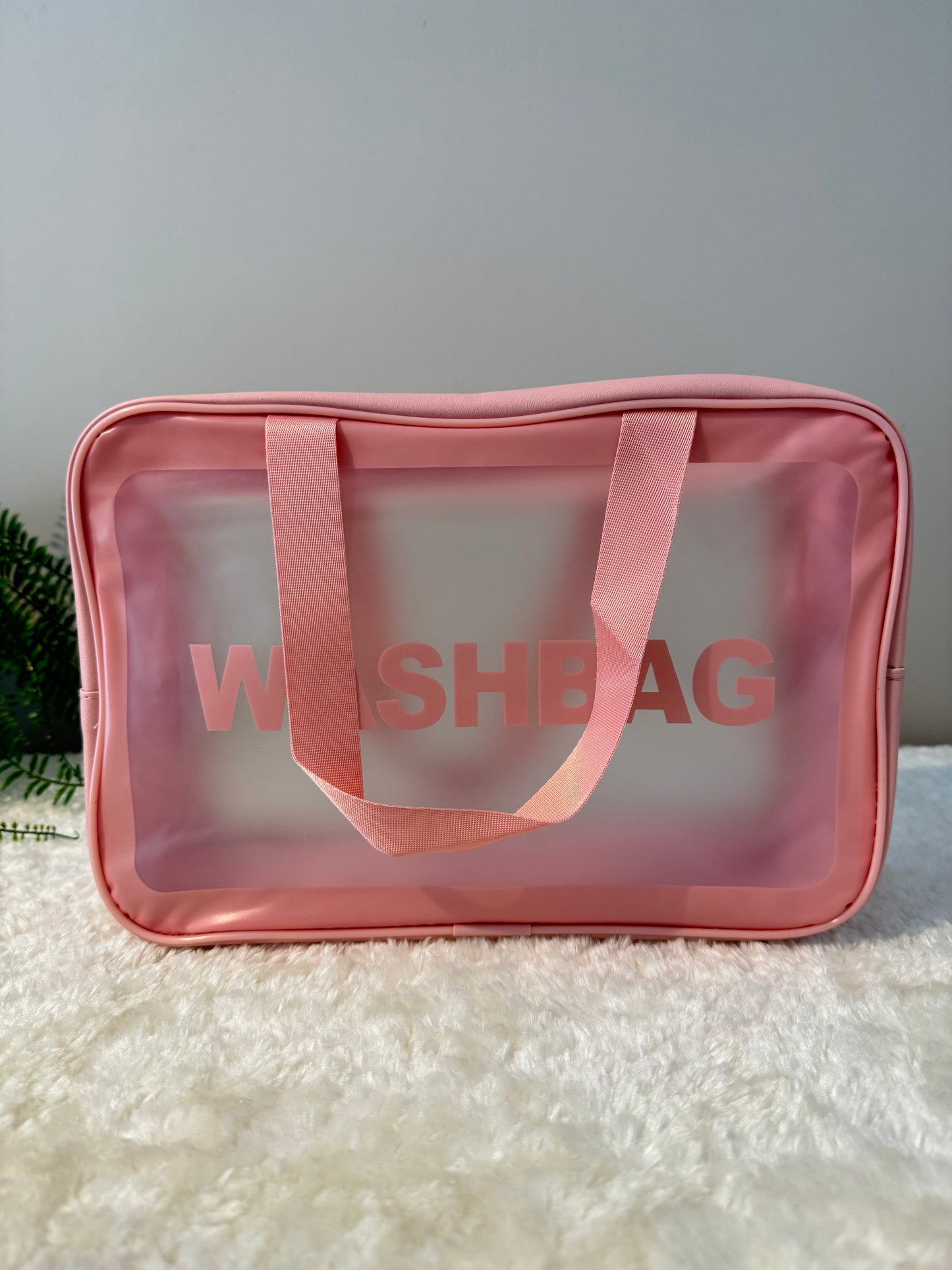 Transparent Frosted Wash Bag